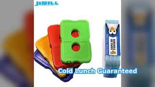 Las bolsas de hielo ultrafinas mantienen la comida fría