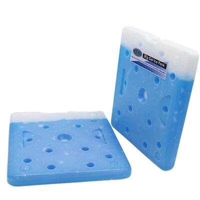 comprar Un ladrillo más fresco Cpsia del hielo de encargo de Logo Large Reusable Food Frozen enumeró online manufacture