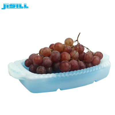 Placas frías eutécticas del refrigerador amistoso 1200ml de Eco para la fruta y la comida de enfriamiento