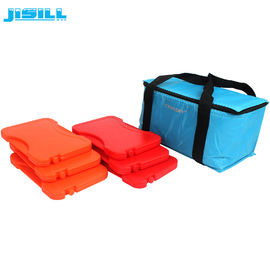 Mini bolsas de hielo térmicas HDPE Hard Shell 17.8x12.2x1.4cm
