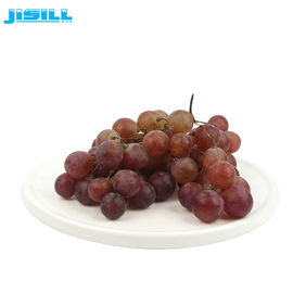 Gel de enfriamiento redondo Plato frío Congelador para frutas y alimentos Frescos, 860 ml de contenido Para alimentos congelados