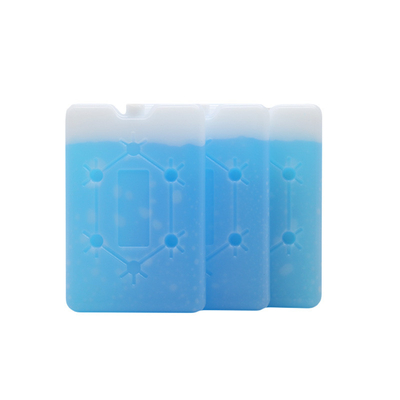 Fábrica personalizada de alta calidad Flat Ice Cooler de ladrillo Lunch Cooler de hielo con copo de nieve