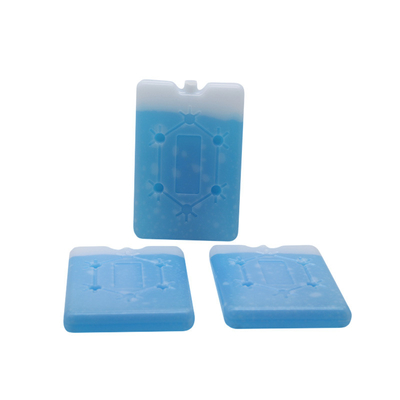 Fábrica personalizada de alta calidad Flat Ice Cooler de ladrillo Lunch Cooler de hielo con copo de nieve