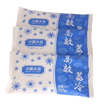 18.6*10.3CM PCM ladrillo de embalaje de hielo para almacenamiento y transporte médico
